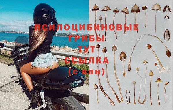 ешки Армянск